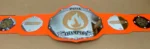 Professional Championship Belt - Image 2