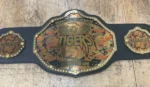 Professional Championship Belt - Image 3