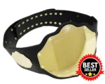 Classic Wrestling Championship Belt